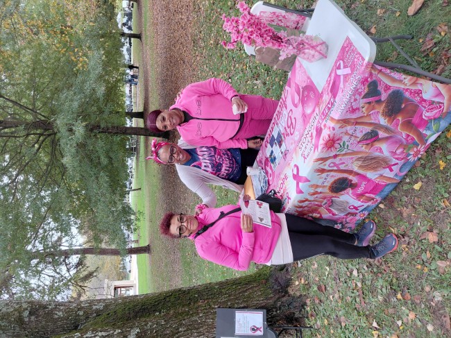 2026 AAHP The Park Goes Pink Photos 3
