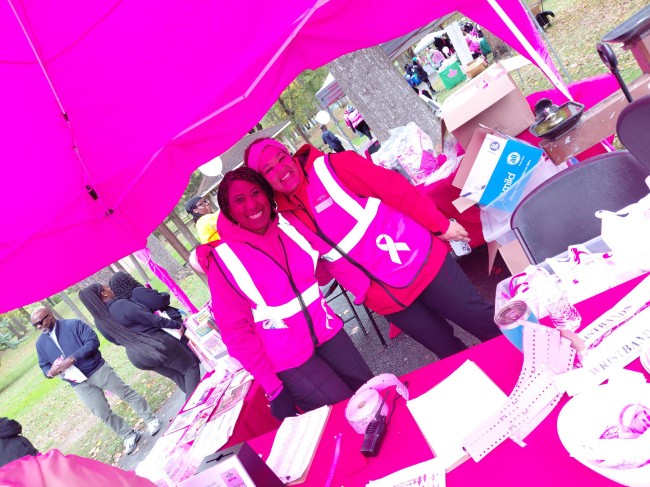 2026 AAHP The Park Goes Pink Photos 8