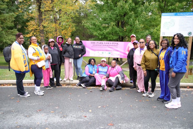 2026 AAHP The Park Goes Pink Photos 24
