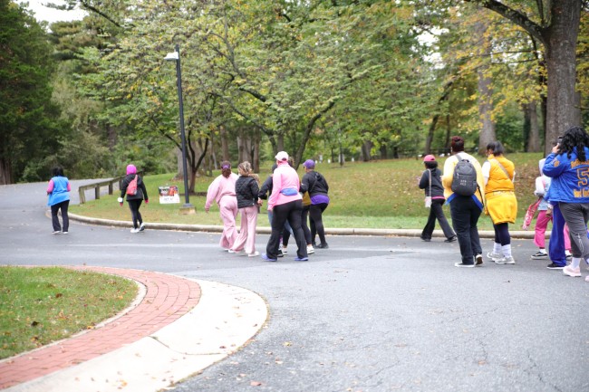 2026 AAHP The Park Goes Pink Photos 29