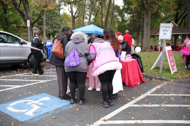 2026 AAHP The Park Goes Pink Photos 58