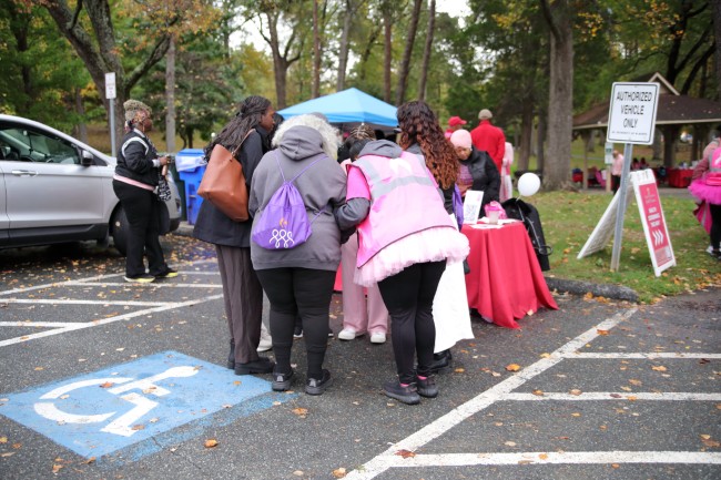 2026 AAHP The Park Goes Pink Photos 59