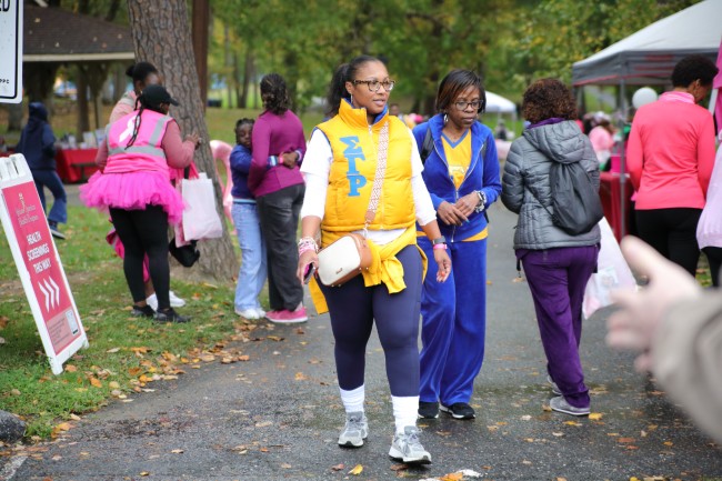 2026 AAHP The Park Goes Pink Photos 64