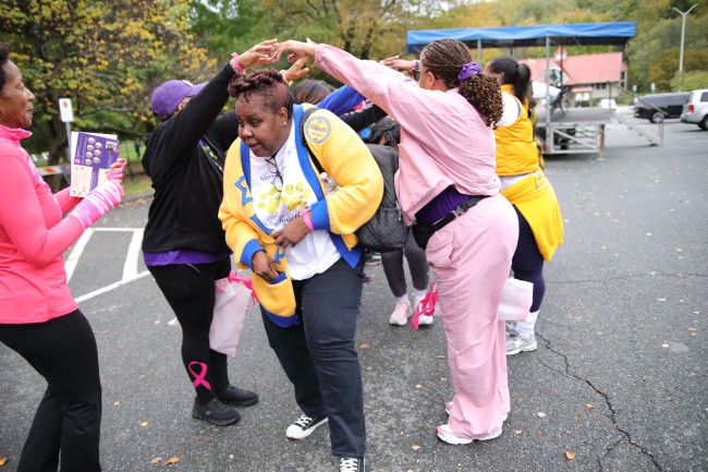 2026 AAHP The Park Goes Pink Photos 74