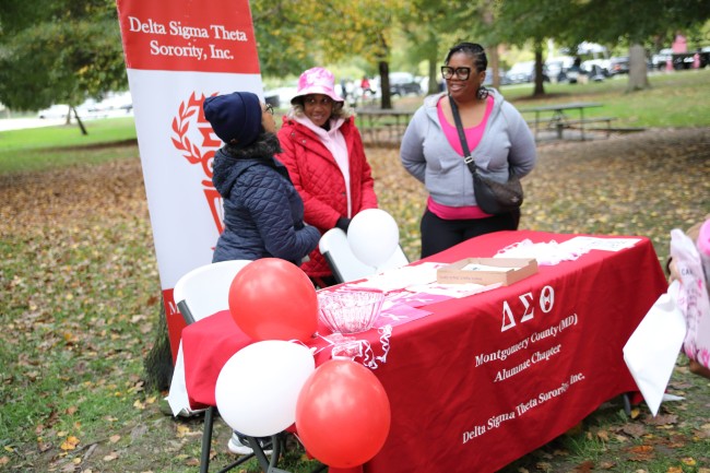 2026 AAHP The Park Goes Pink Photos 80