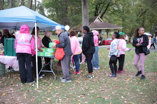 2026 AAHP The Park Goes Pink Photos 101