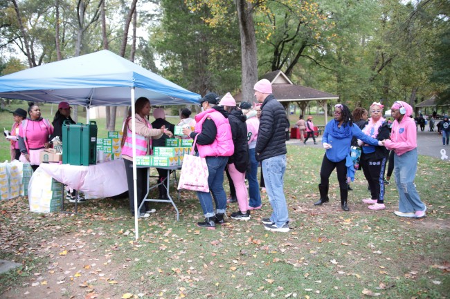 2026 AAHP The Park Goes Pink Photos 102