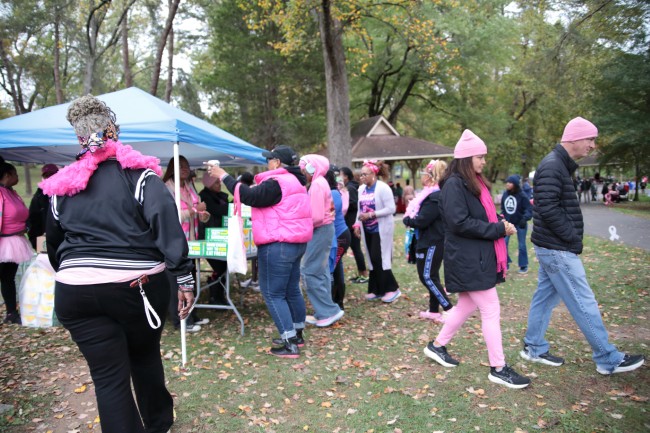2026 AAHP The Park Goes Pink Photos 103