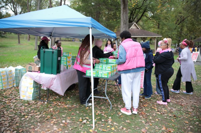 2026 AAHP The Park Goes Pink Photos 104