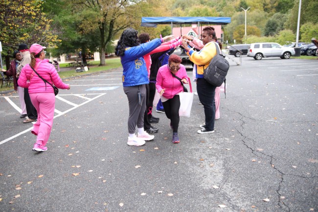 2026 AAHP The Park Goes Pink Photos 117