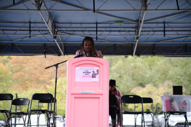 2026 AAHP The Park Goes Pink Photos 172