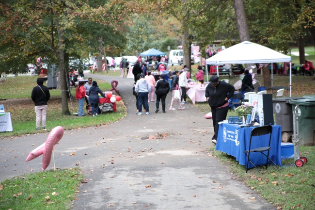 2026 AAHP The Park Goes Pink Photos 183