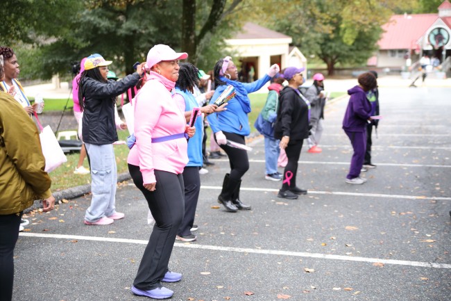 2026 AAHP The Park Goes Pink Photos 205