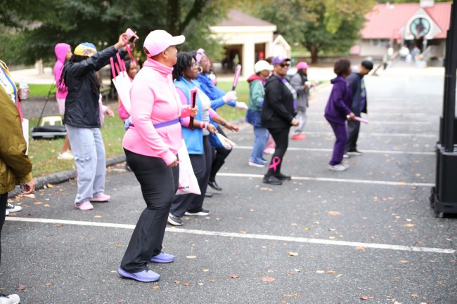 2026 AAHP The Park Goes Pink Photos 206