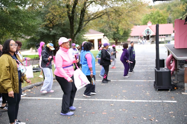 2026 AAHP The Park Goes Pink Photos 208