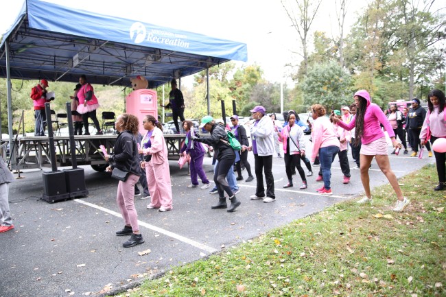 2026 AAHP The Park Goes Pink Photos 210
