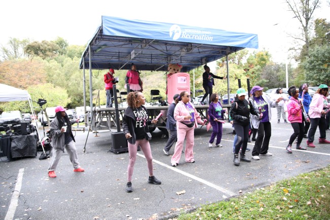 2026 AAHP The Park Goes Pink Photos 211