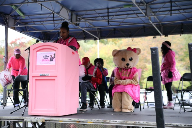 2026 AAHP The Park Goes Pink Photos 225
