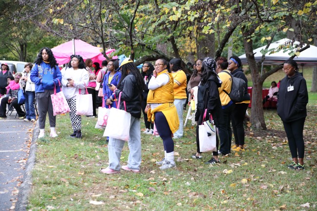 2026 AAHP The Park Goes Pink Photos 231