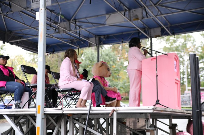 2026 AAHP The Park Goes Pink Photos 232