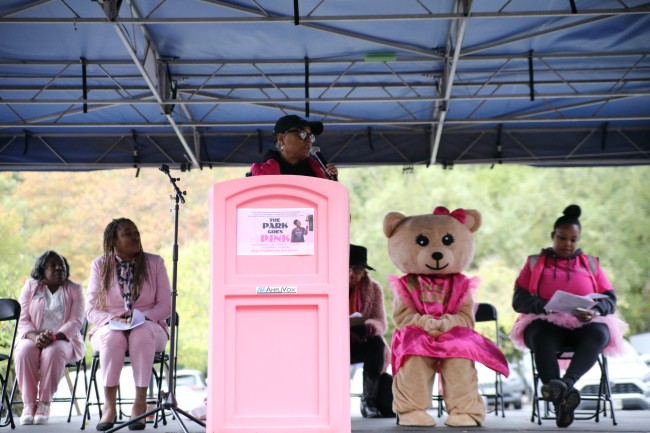 2026 AAHP The Park Goes Pink Photos 234