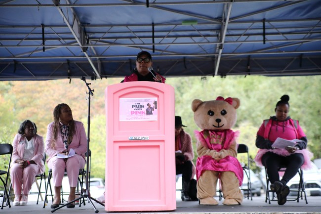 2026 AAHP The Park Goes Pink Photos 235