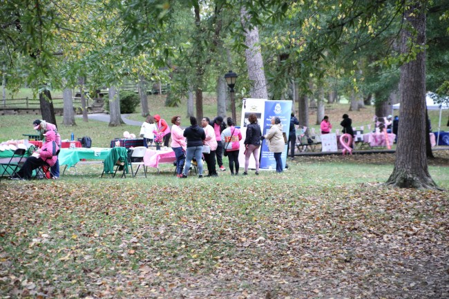 2026 AAHP The Park Goes Pink Photos 236
