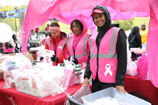 2026 AAHP The Park Goes Pink Photos 241