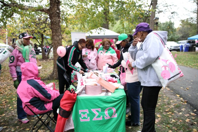 2026 AAHP The Park Goes Pink Photos 245