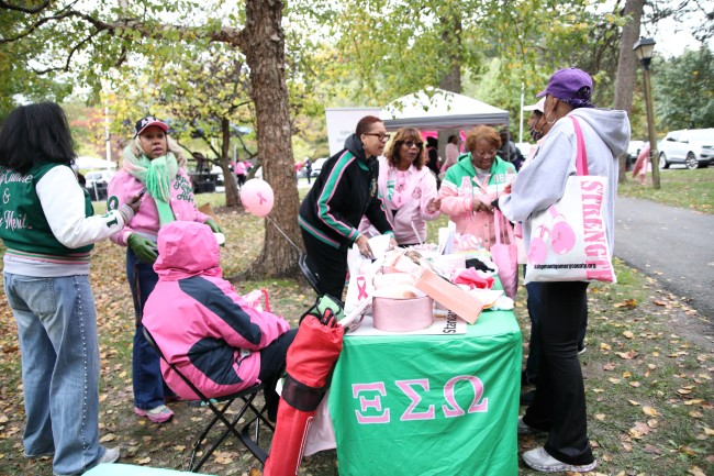 2026 AAHP The Park Goes Pink Photos 246