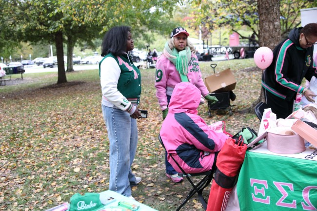 2026 AAHP The Park Goes Pink Photos 247