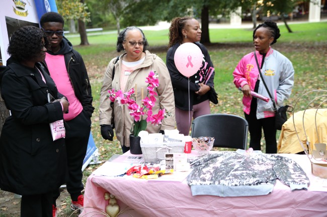 2026 AAHP The Park Goes Pink Photos 248
